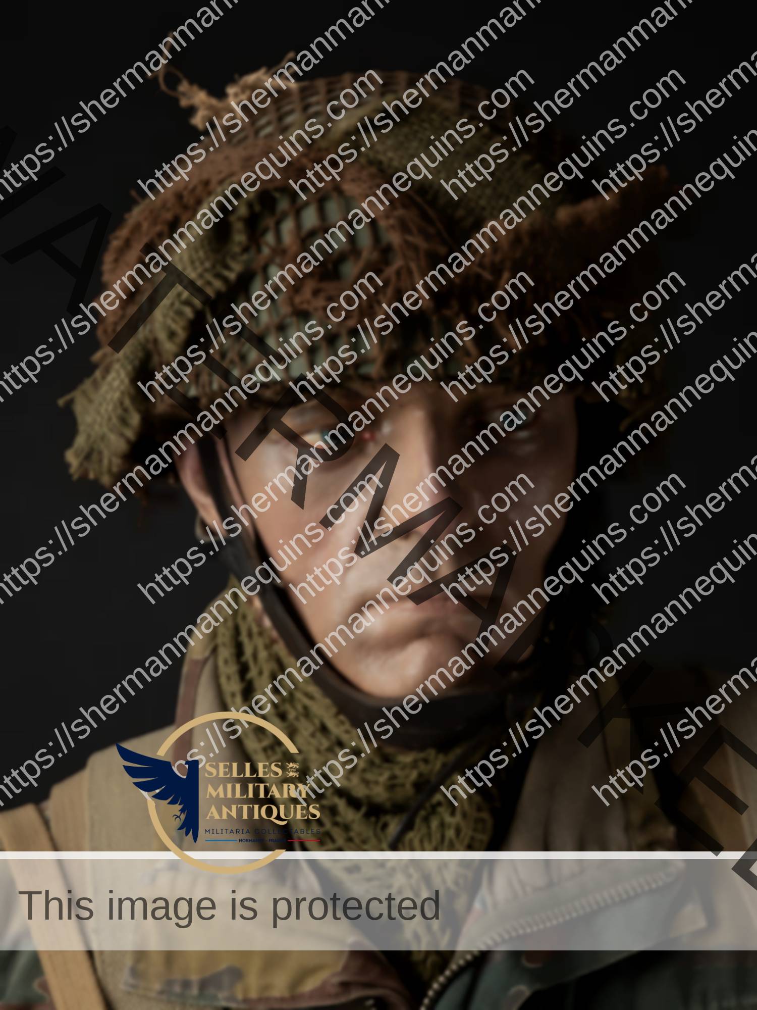 Para Anglais repro 2-02