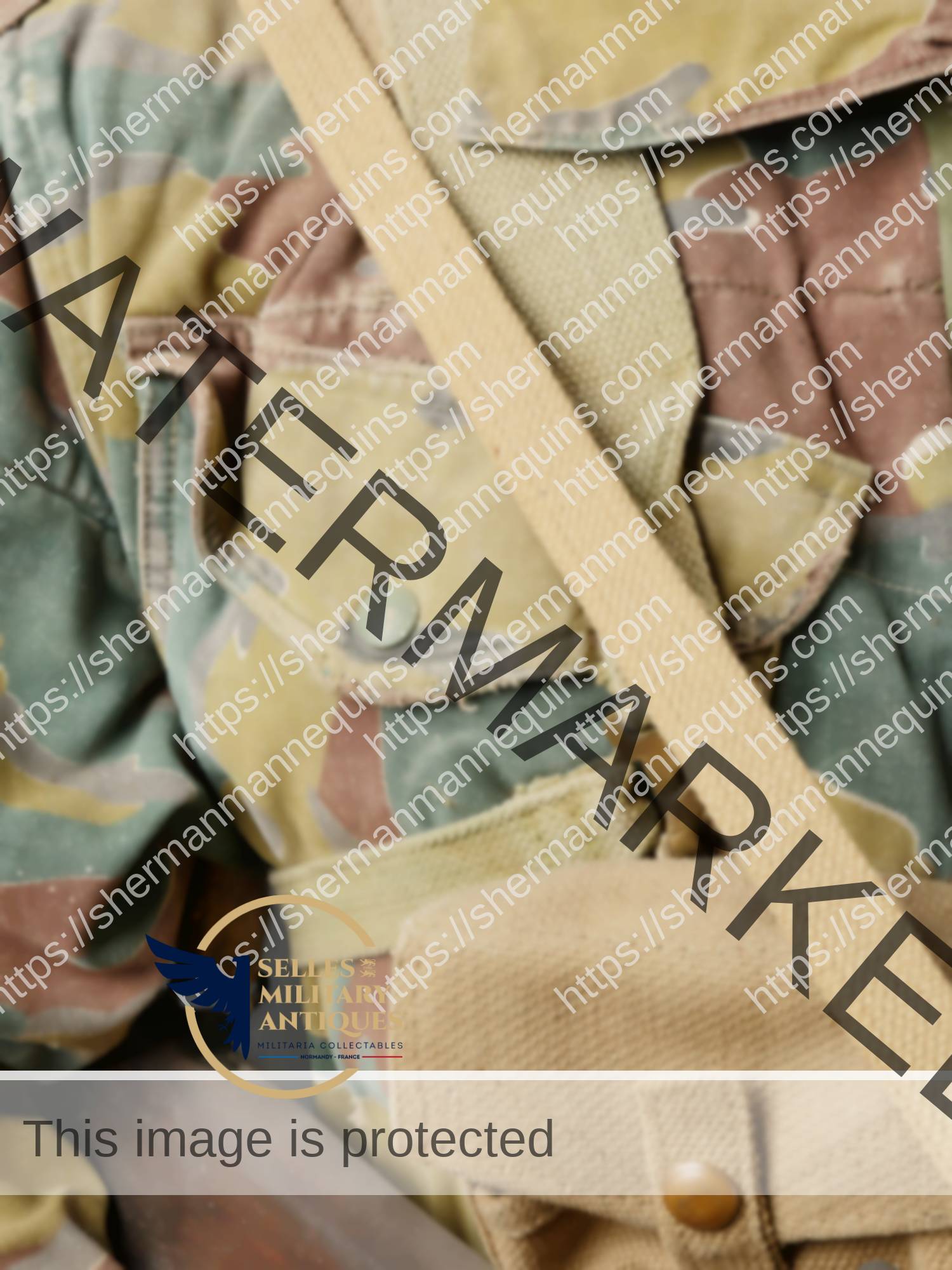 Para Anglais repro 2-03