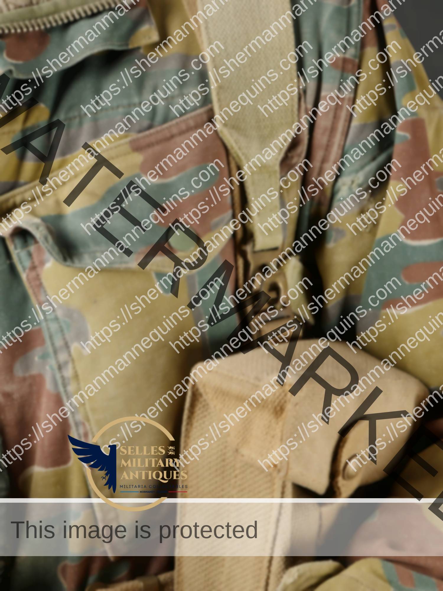 Para Anglais repro 2-04