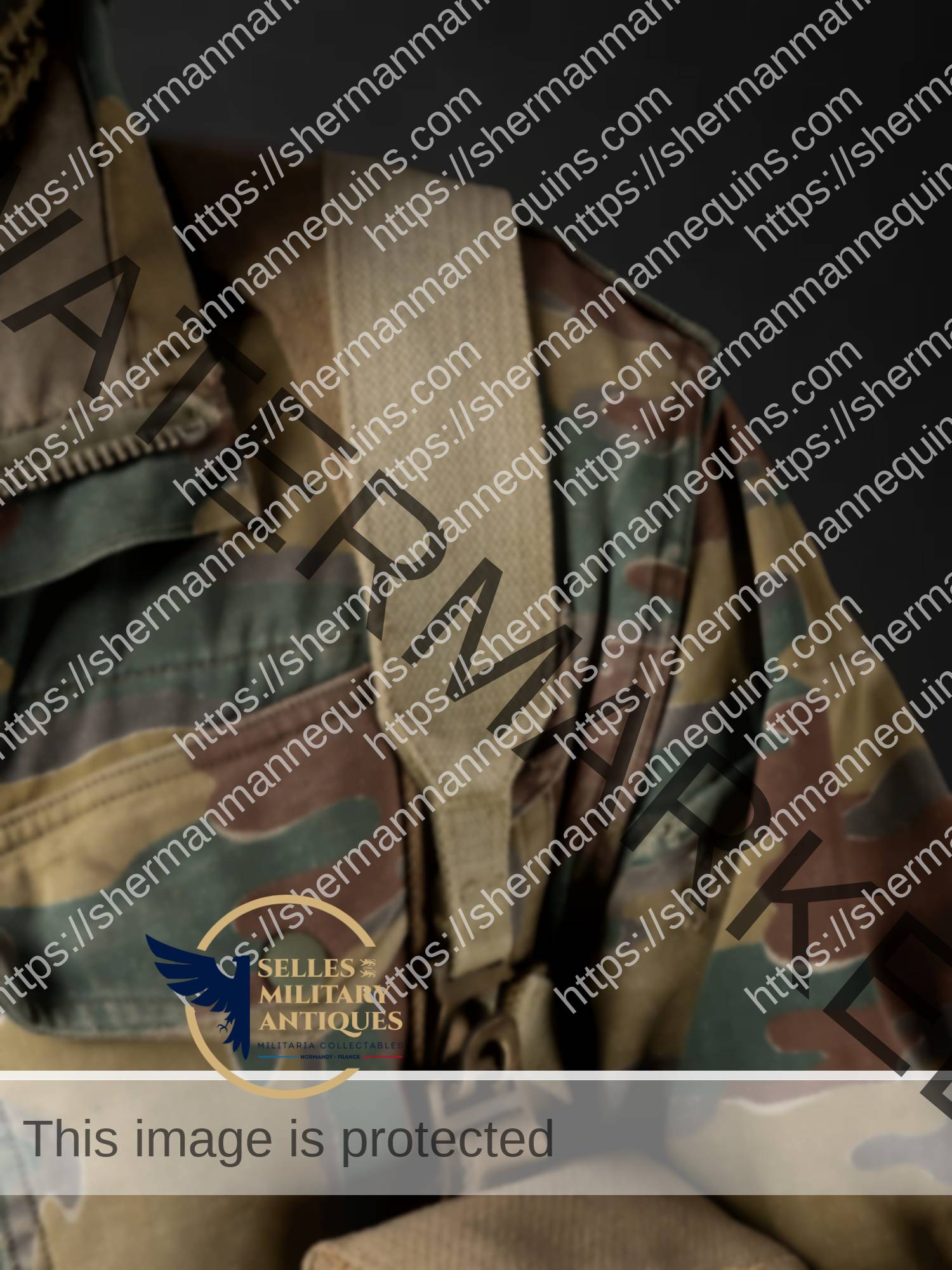 Para Anglais repro 2-05