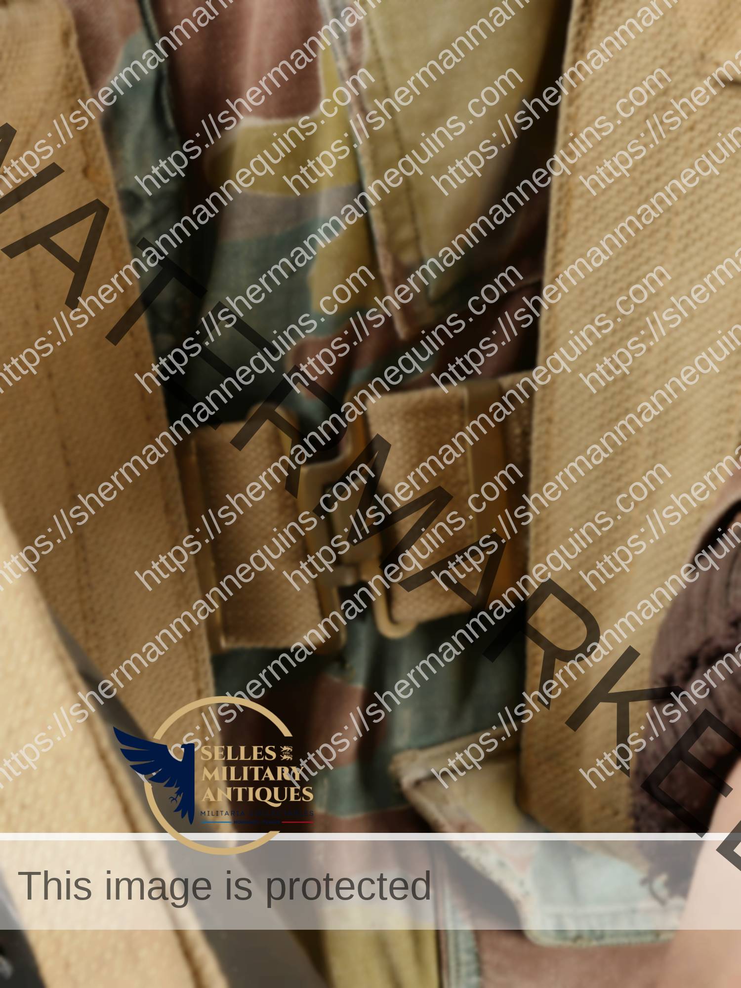 Para Anglais repro 2-06