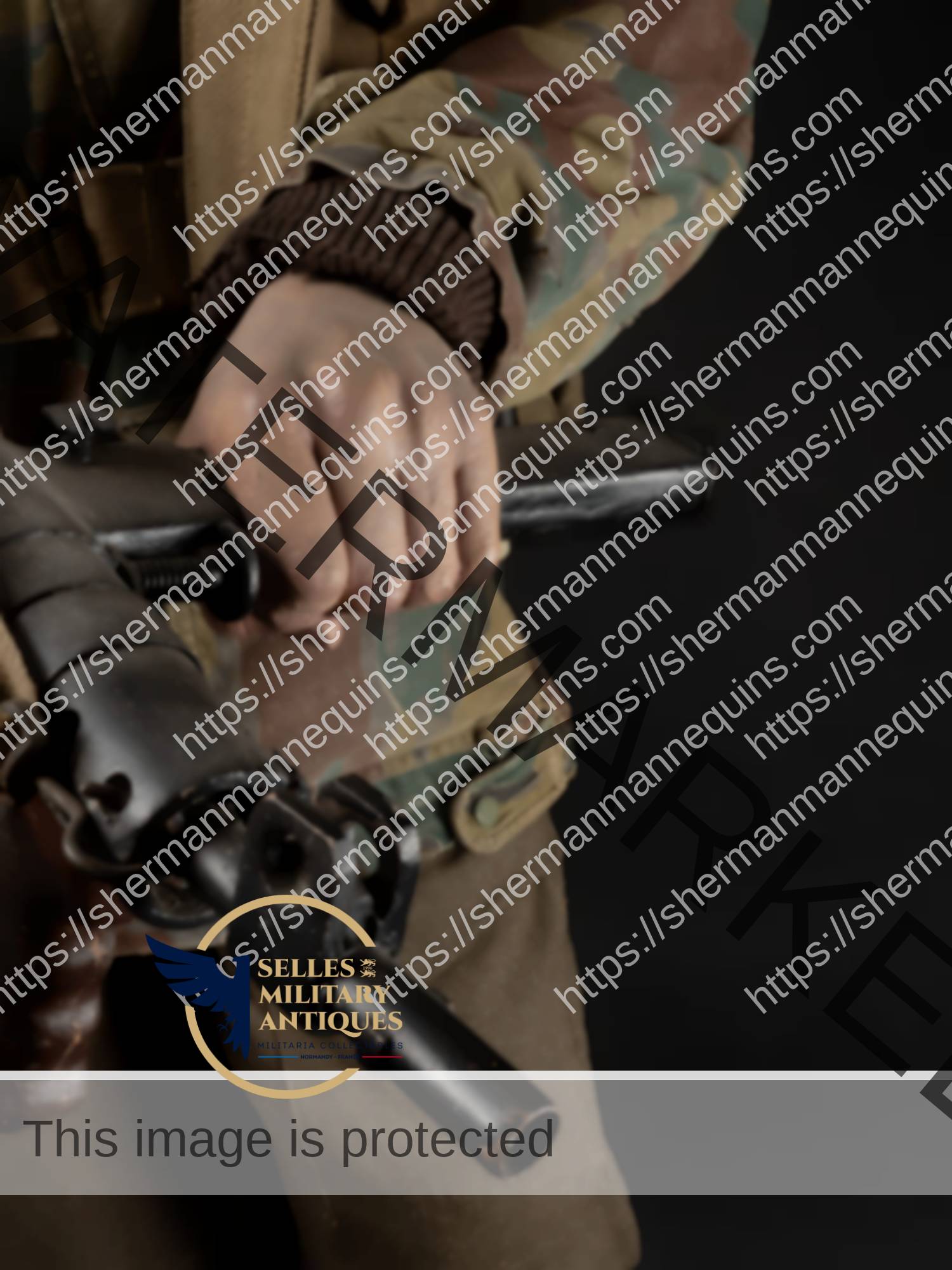 Para Anglais repro 2-07