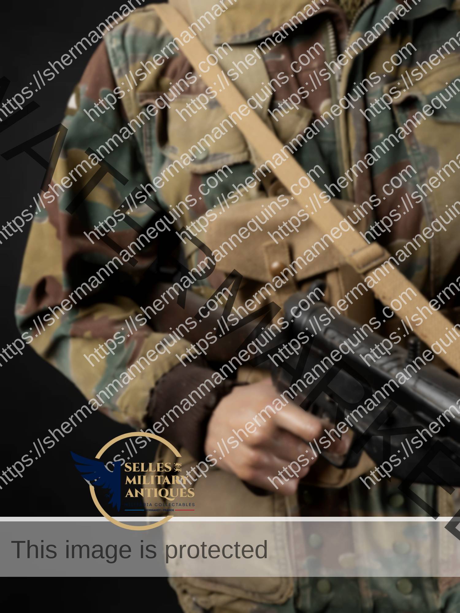 Para Anglais repro 2-08