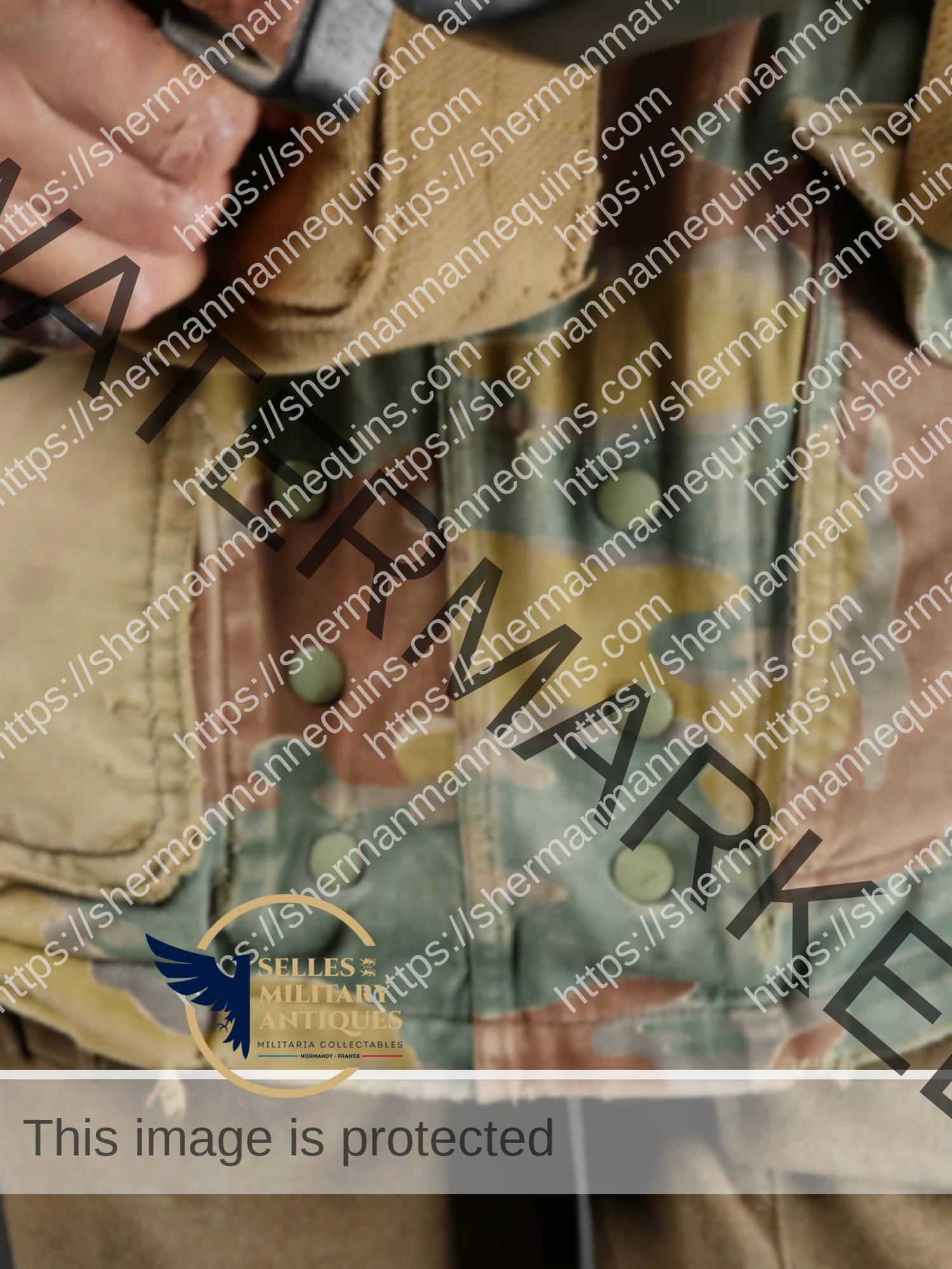 Para Anglais repro 2-09