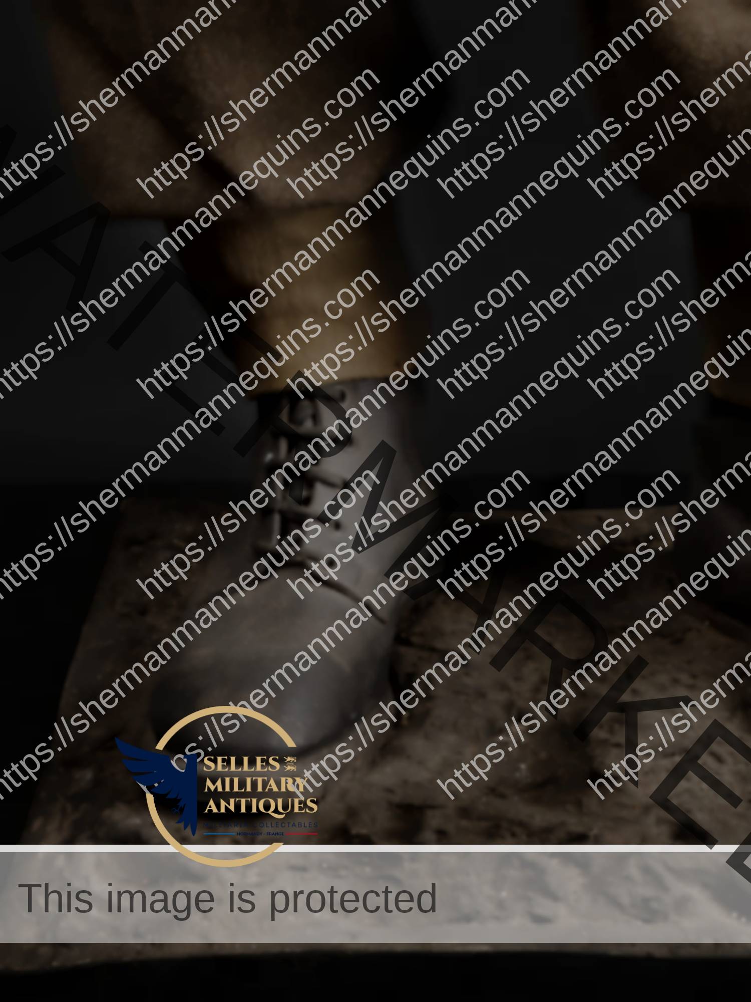 Para Anglais repro 2-10