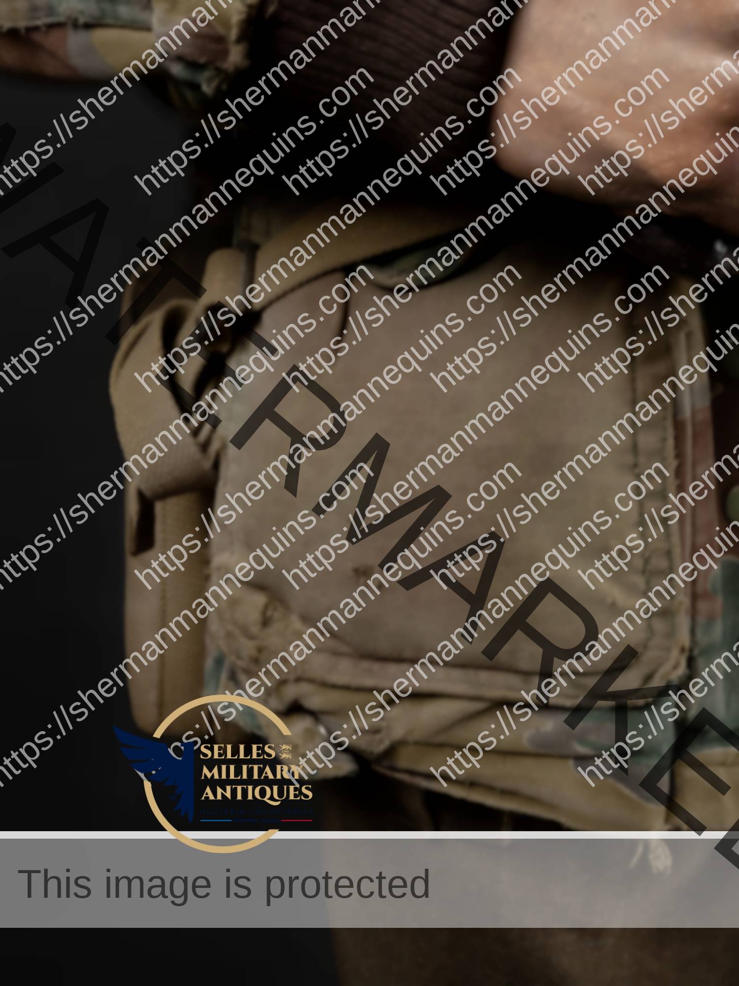 Para Anglais repro 2-11