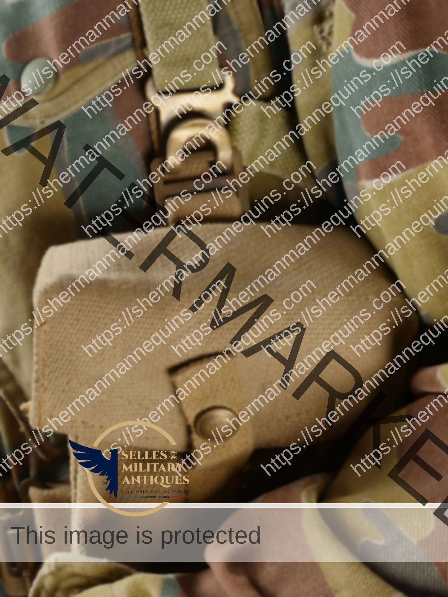 Para Anglais repro 2-13