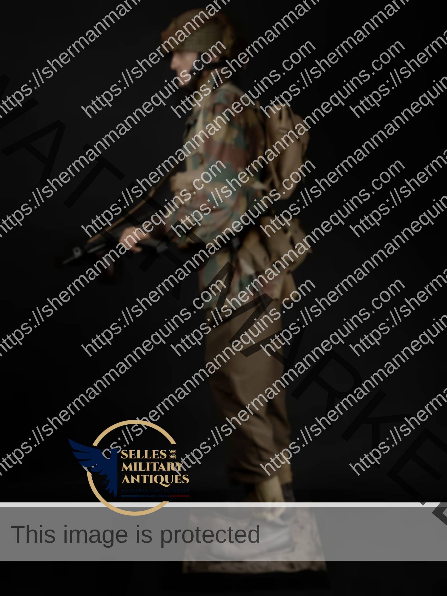 Para Anglais repro 2-14