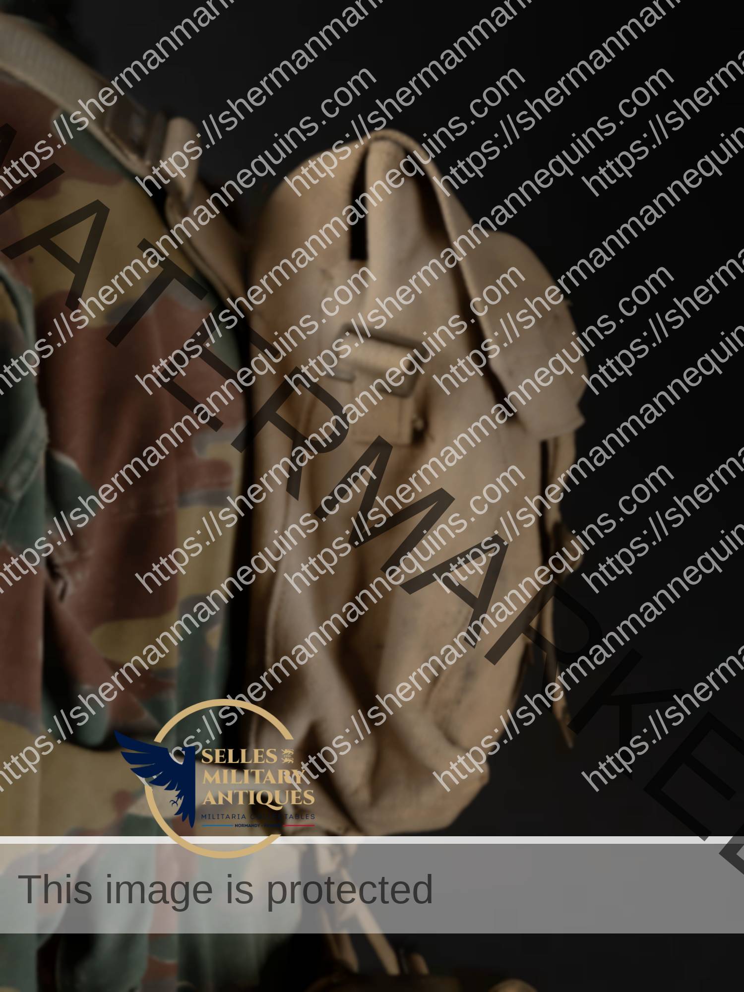 Para Anglais repro 2-16