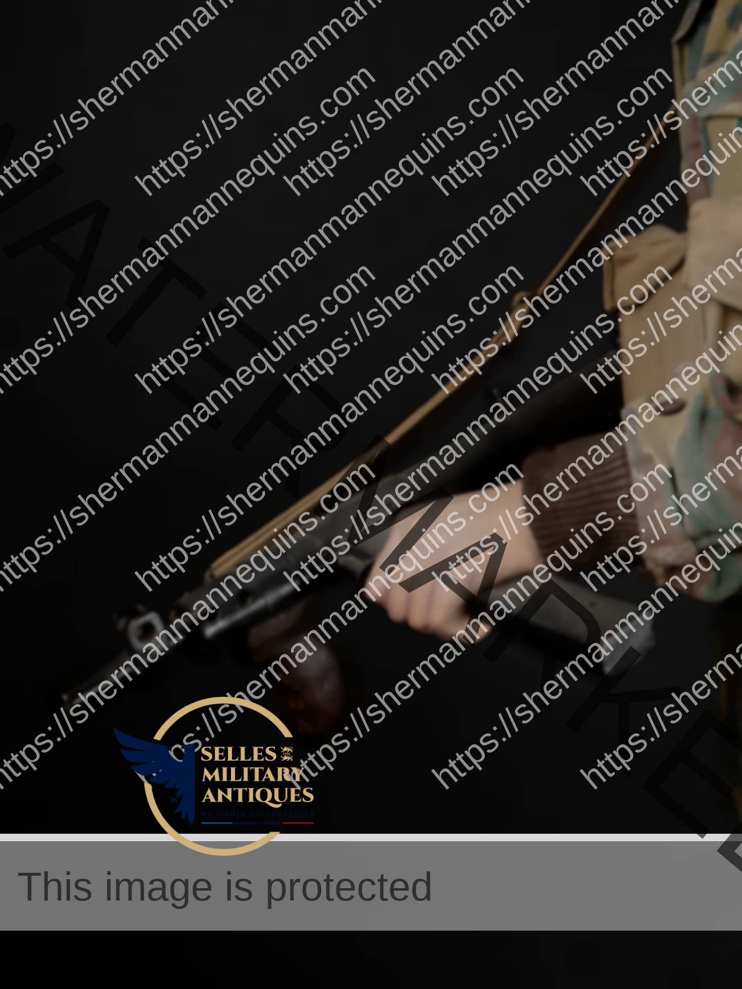 Para Anglais repro 2-17