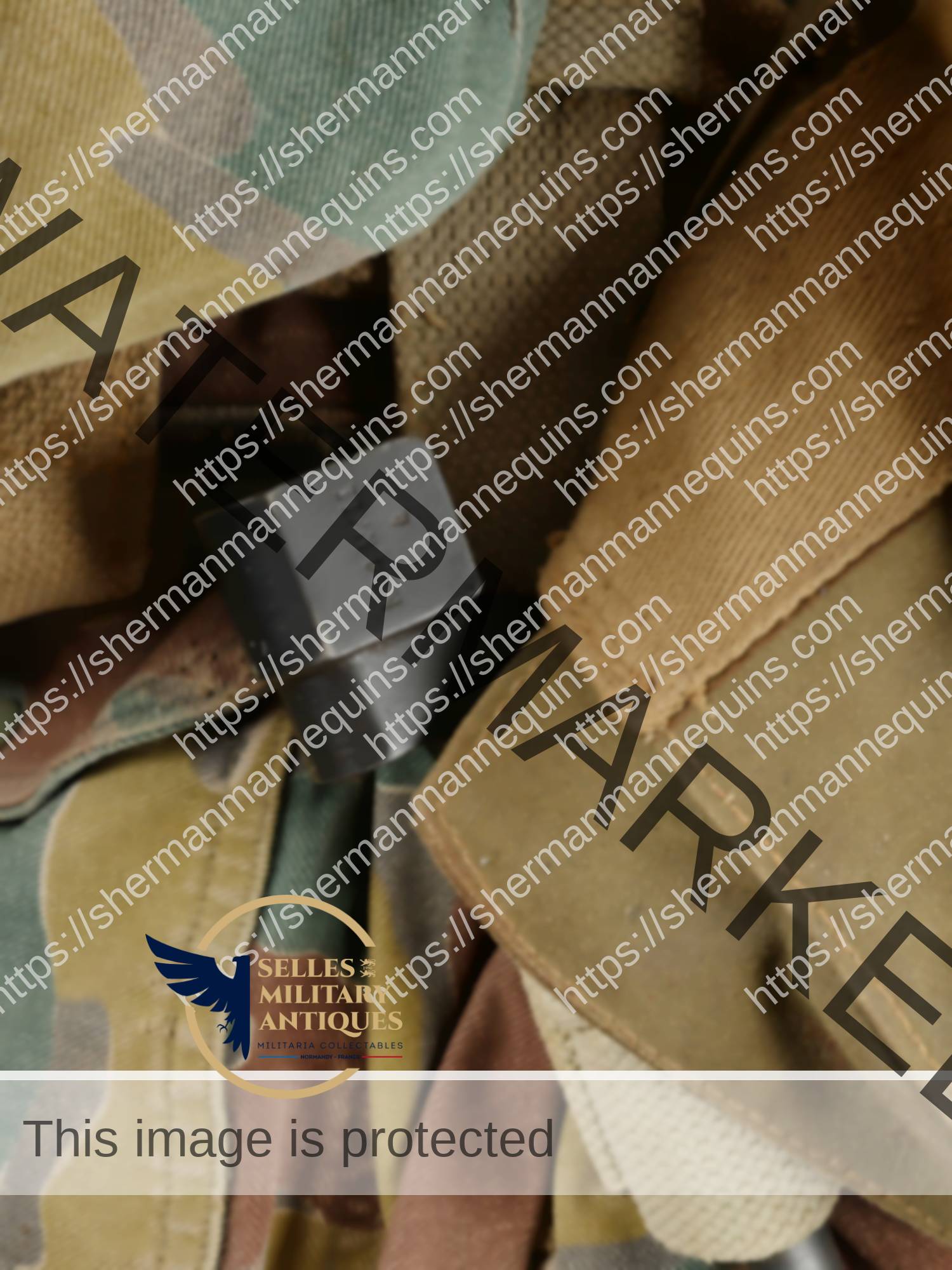 Para Anglais repro 2-18