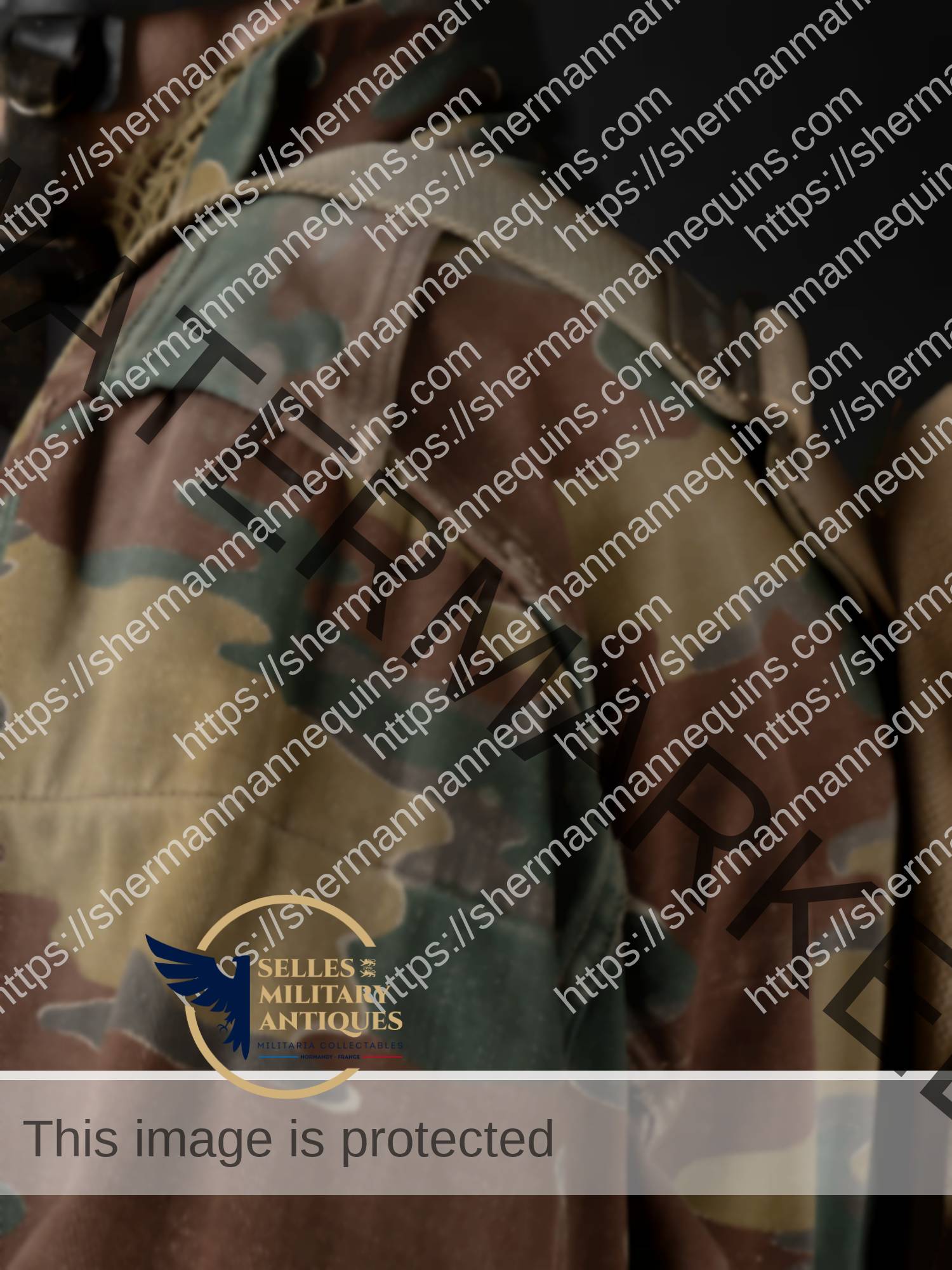 Para Anglais repro 2-20