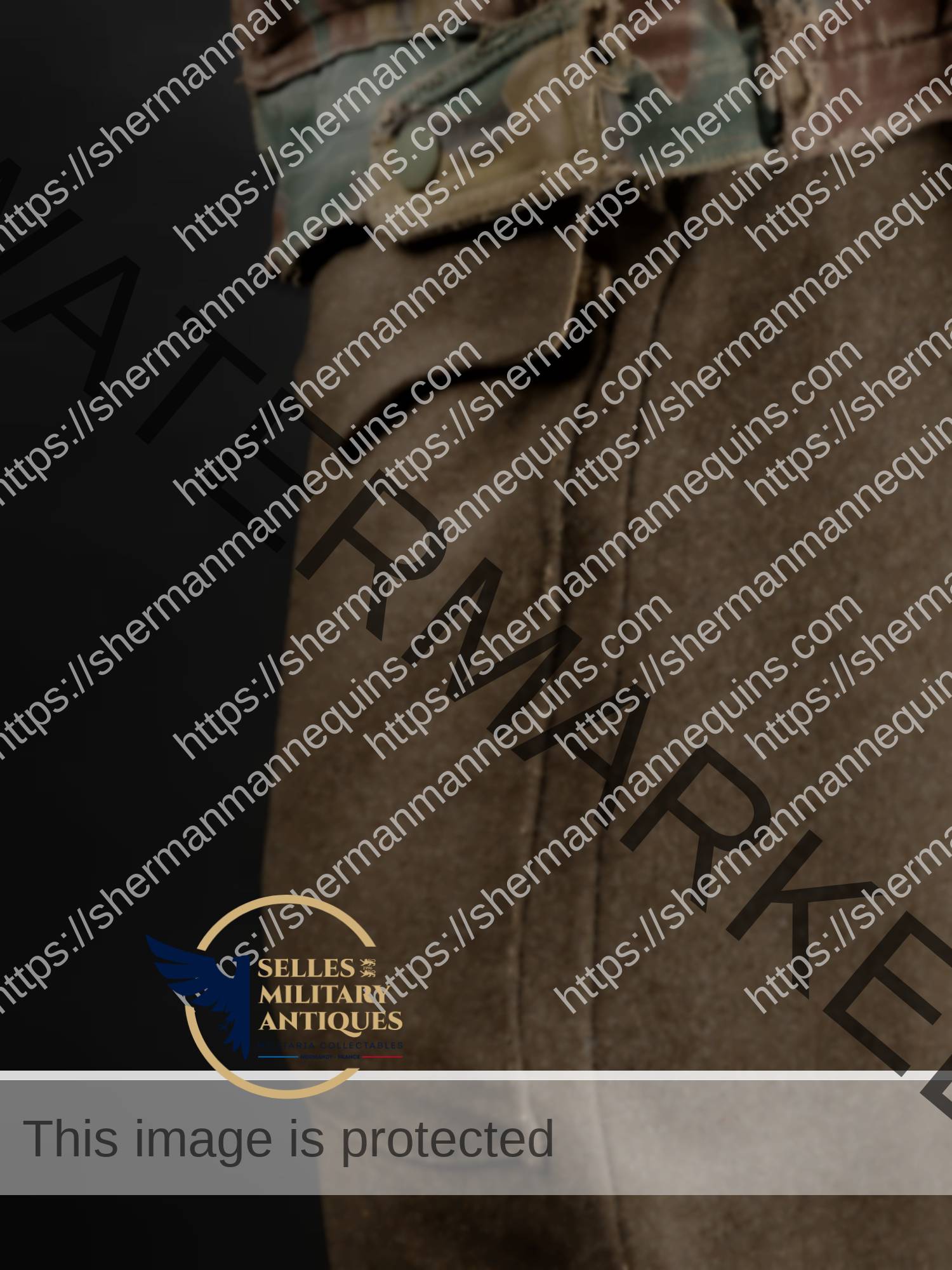 Para Anglais repro 2-21