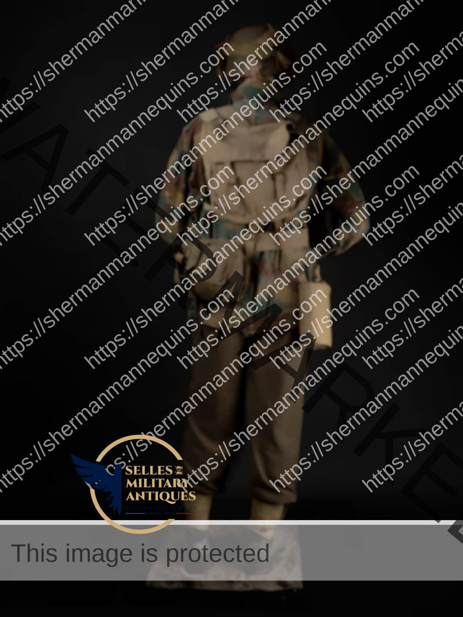 Para Anglais repro 2-23