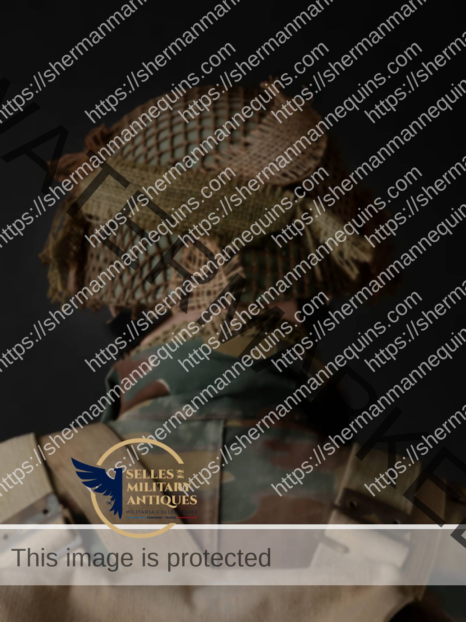 Para Anglais repro 2-24