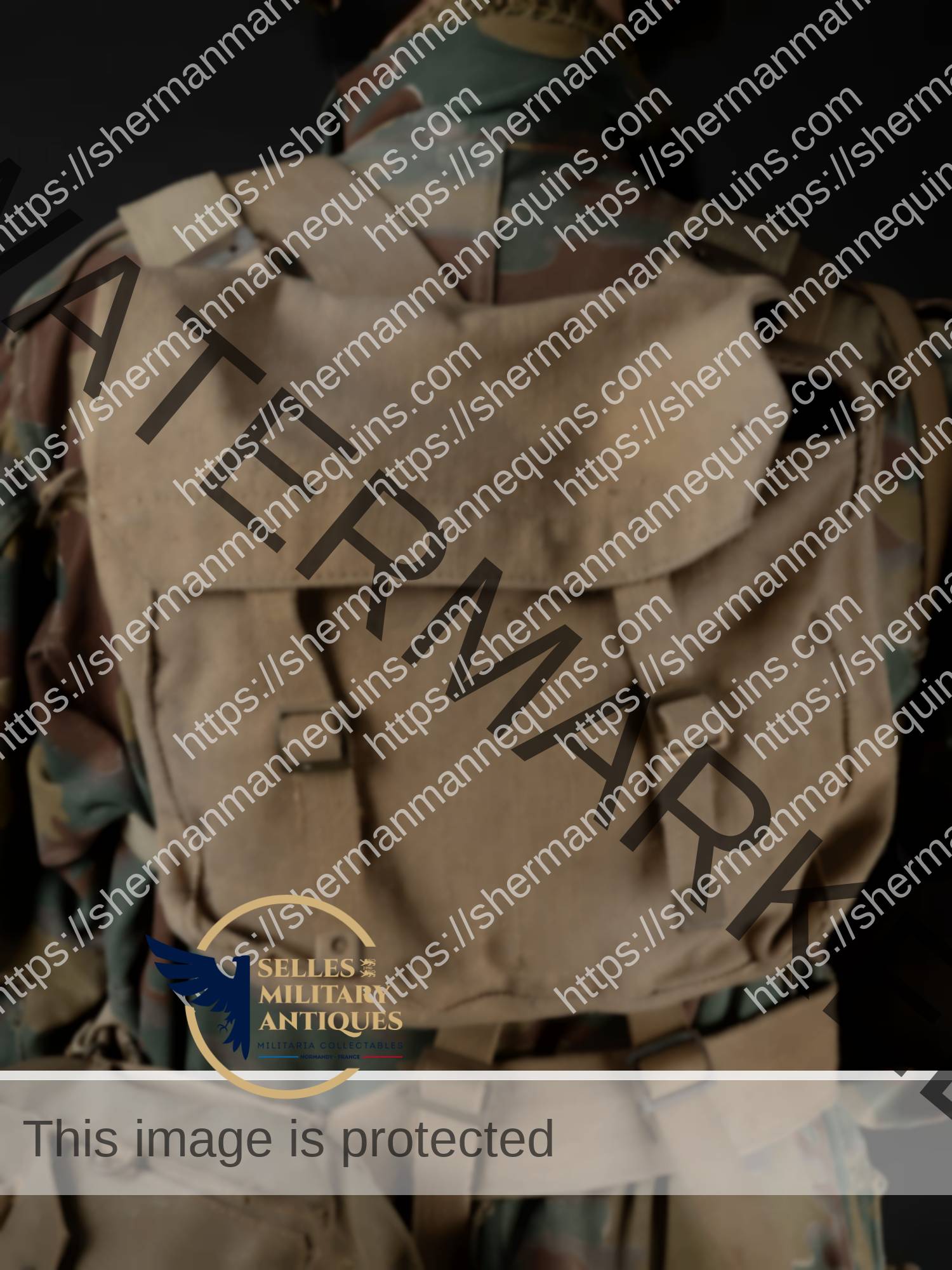 Para Anglais repro 2-25