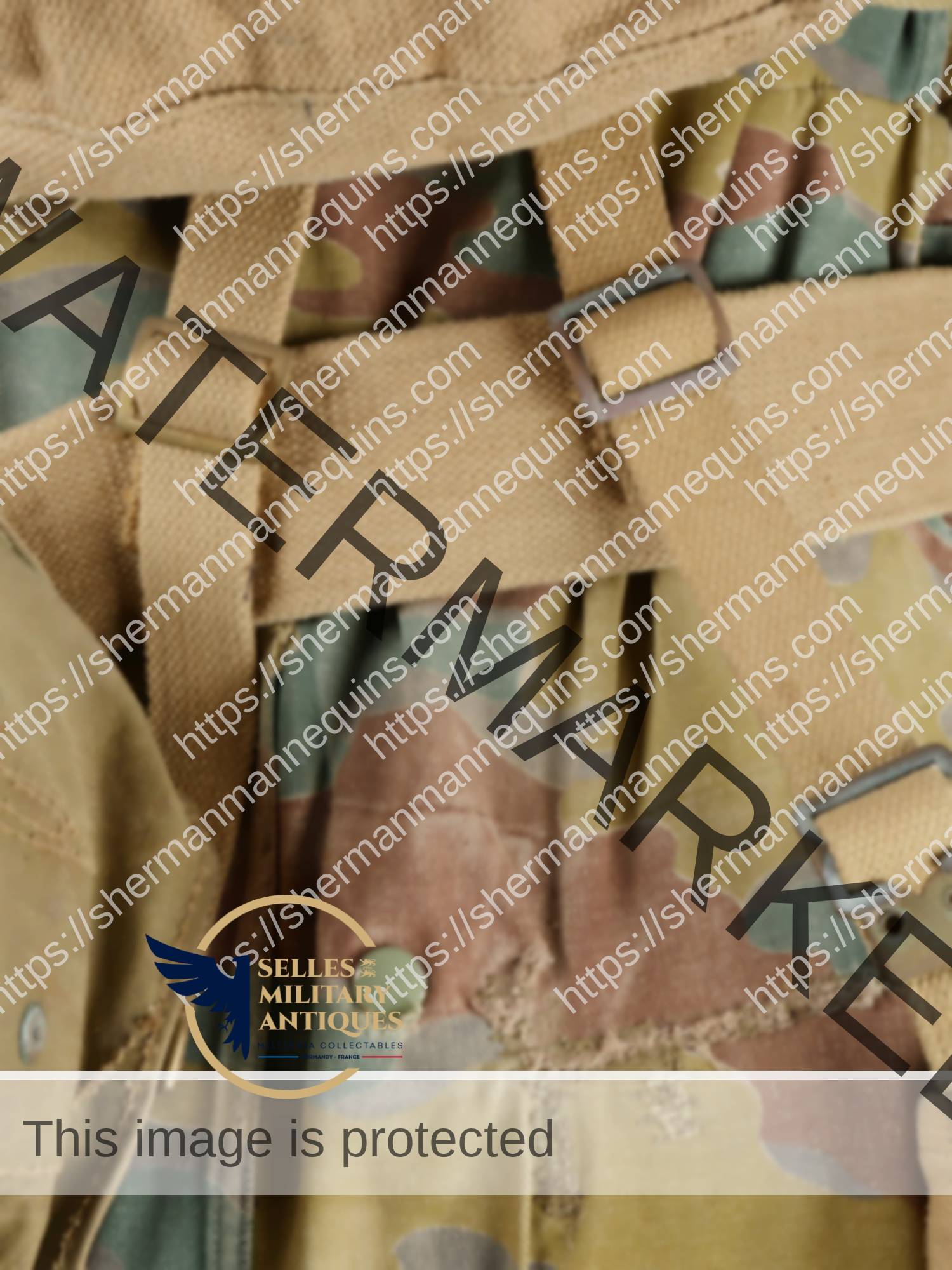 Para Anglais repro 2-27