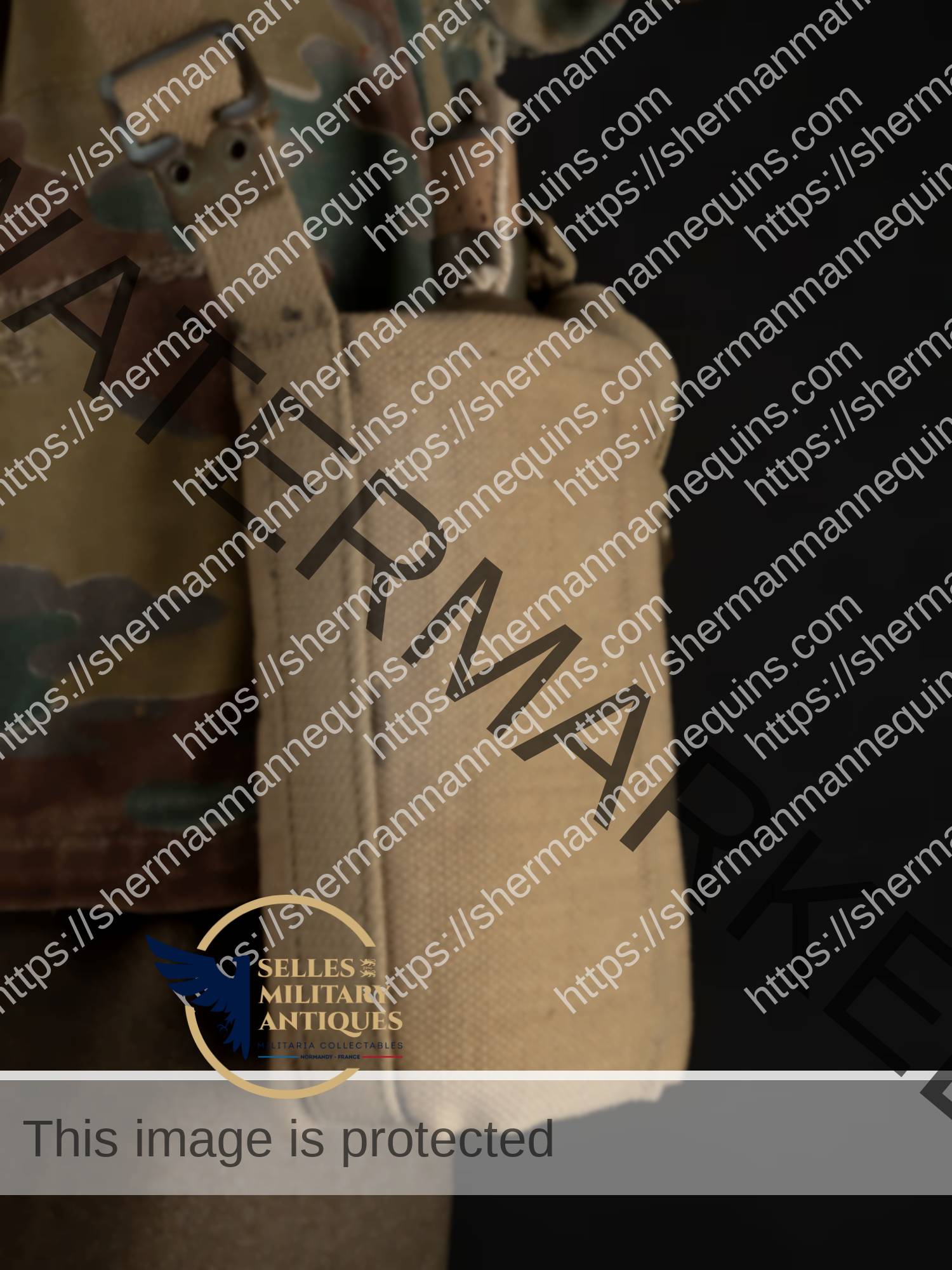 Para Anglais repro 2-28