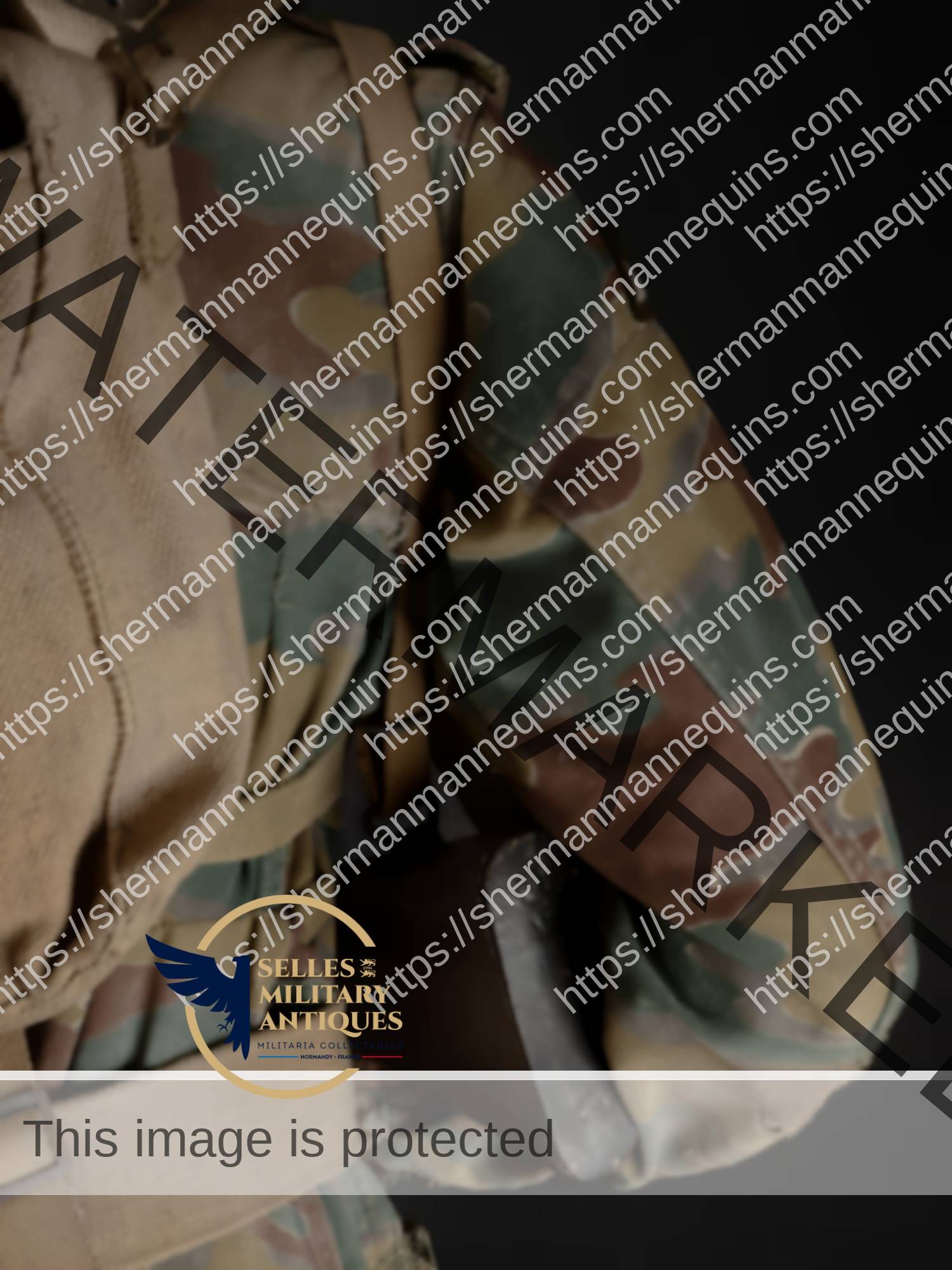 Para Anglais repro 2-29