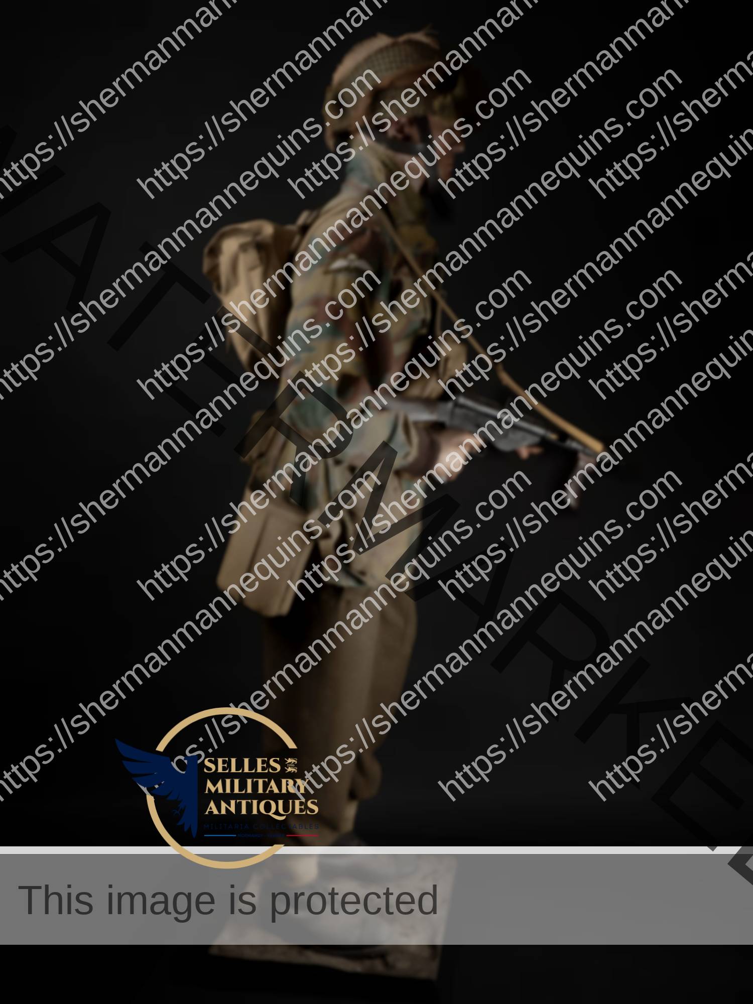 Para Anglais repro 2-31