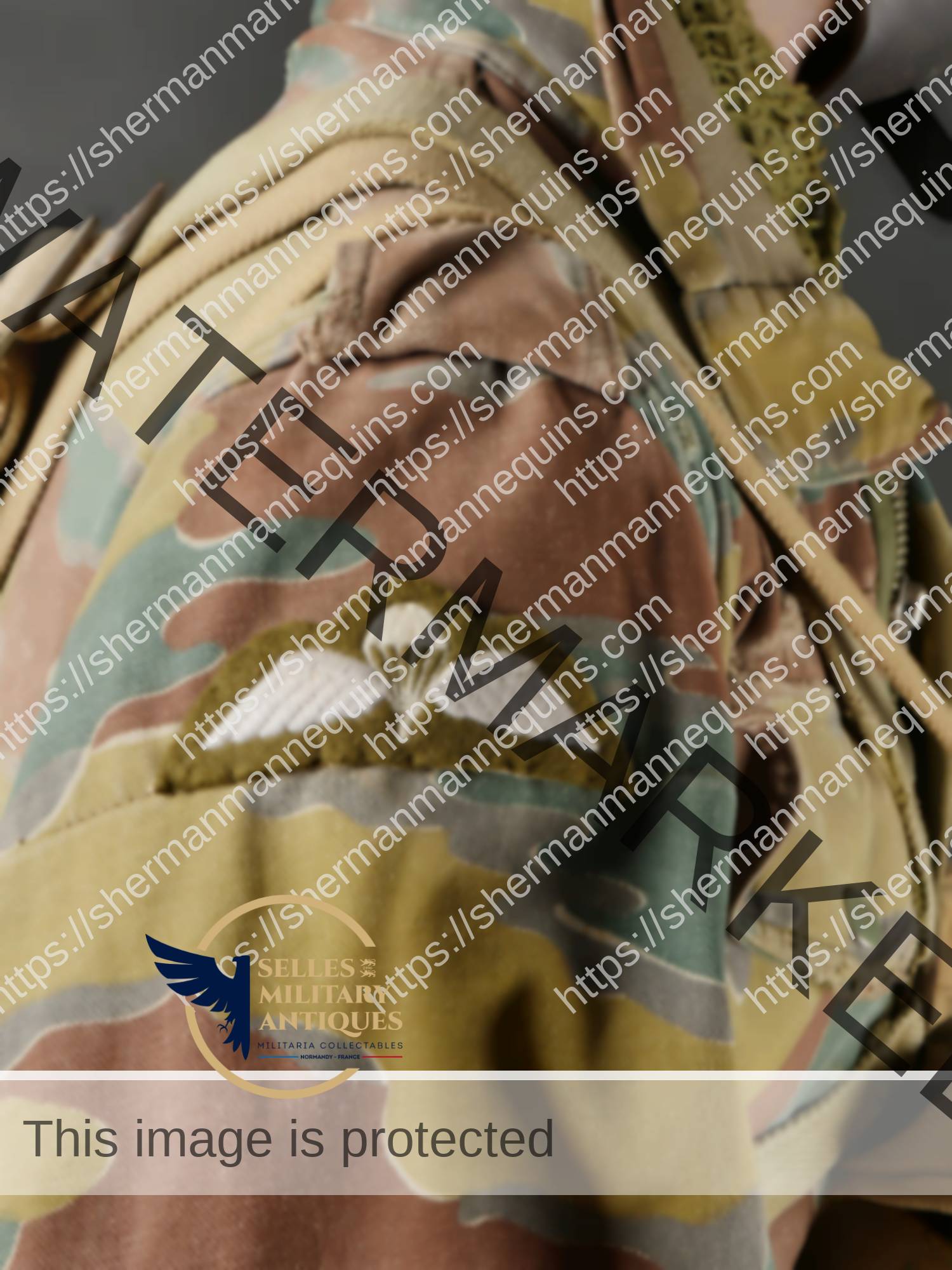 Para Anglais repro 2-33