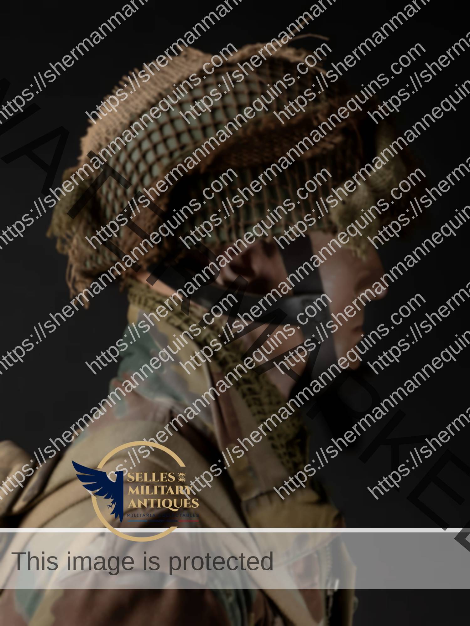 Para Anglais repro 2-34